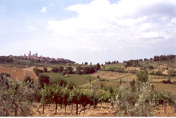 San Gimignano in the distance