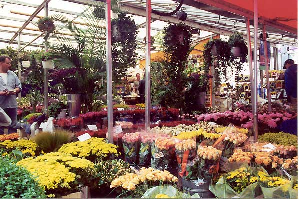 Flower market